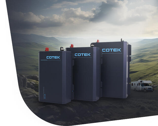 Pure Sine Wave Inverter with Transfer Switch